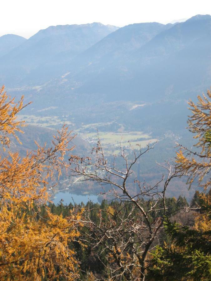 Apartments Pikon Bohinj Exterior photo